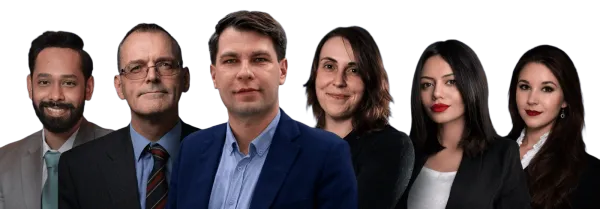 Das Team der W-V Law Firm LLP